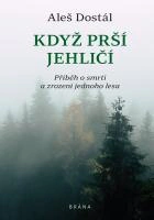 Když prší jehličí Brána