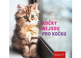 Kočky nejsou pro kočku PRAGMA