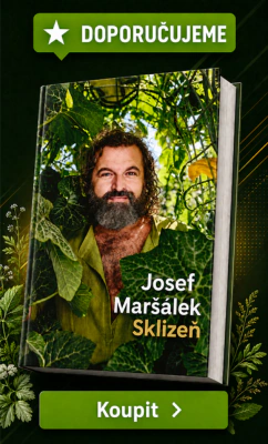 Maršálek