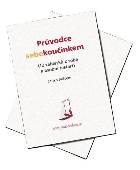 Průvodce sebekoučinkem (12 záblesků k sobě a osobní restart) Powerprint