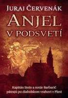 Anjel v podsvetí Slovart
