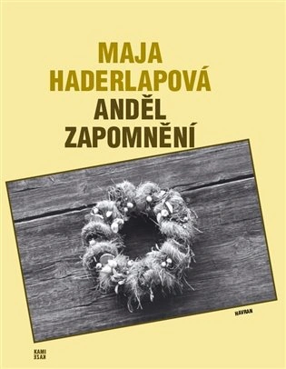 Anděl zapomnění Havran
