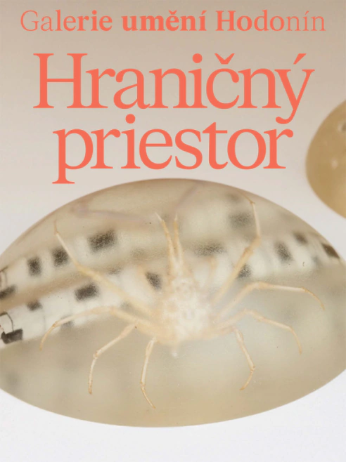 Patrik Kovačovský. Hraničný priestor Galerie výtvarného umění v Hodoníně