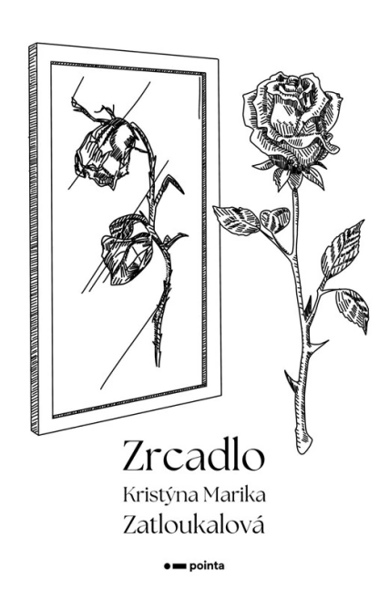 Zrcadlo Pointa