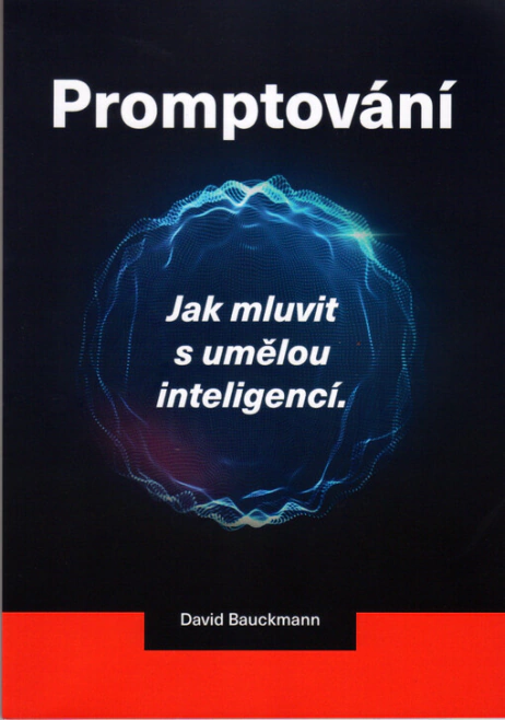 Promptování : jak mluvit s umělou inteligencí David Bauckmann