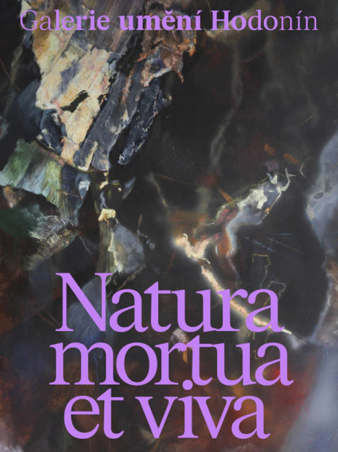 Dušana Vrbovská. Natura mortua et viva Galerie výtvarného umění v Hodoníně
